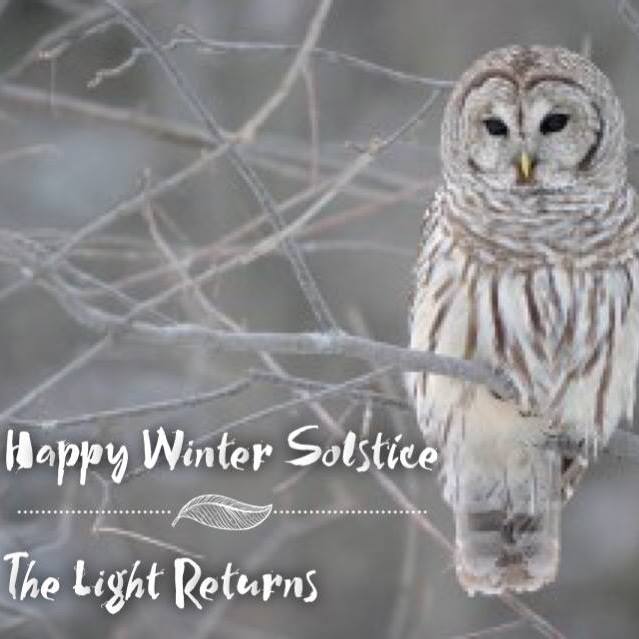 Winter Solstice Sound Bath (Virtual Meditation, available 12/21 - 12/25) @ Vimeo, Live Streaming Event
